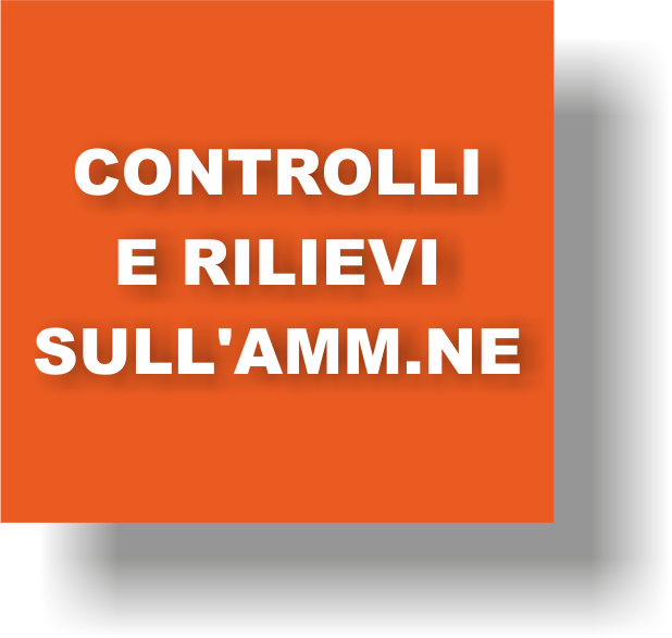 Controlli_e_Rilievi_sull'Amministrazione_d0.png