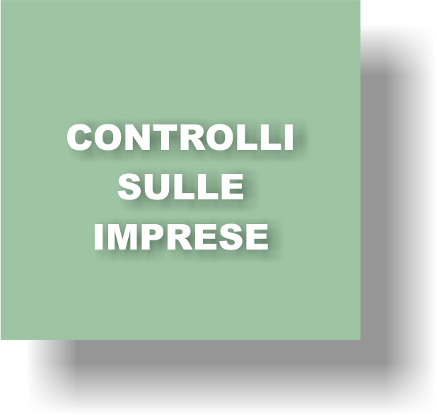 Controlli_sulle_Imprese_d0.png